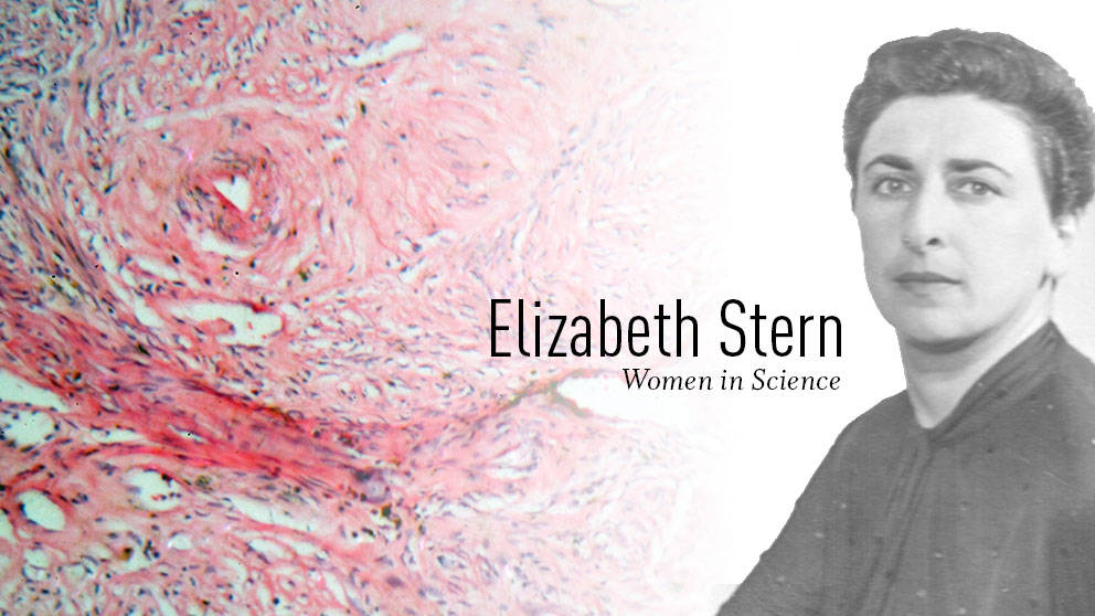 Elizabeth Stern, cervical cancer women's health pioneer
