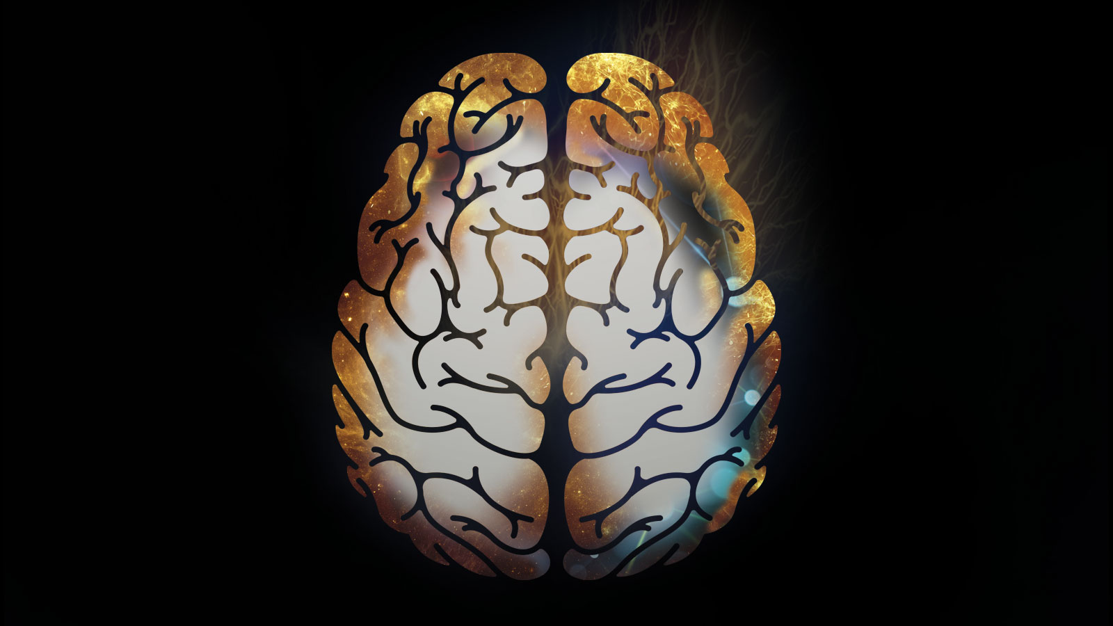A stylized cross-section of a brain on a black background, representing brain activity and research