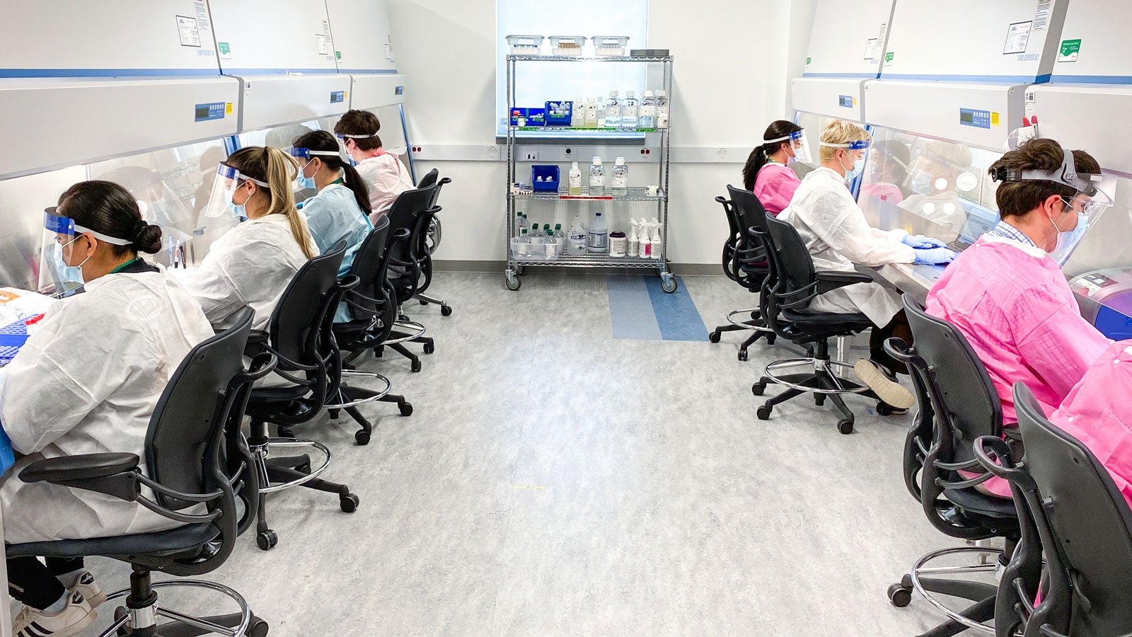 COVID-19 testing at The Jackson Laboratory's CLIA Lab in 2021