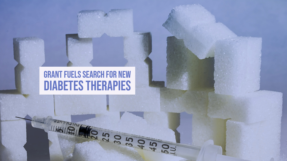 February grant fuels search for new therapeutic targets in type 2 diabetes