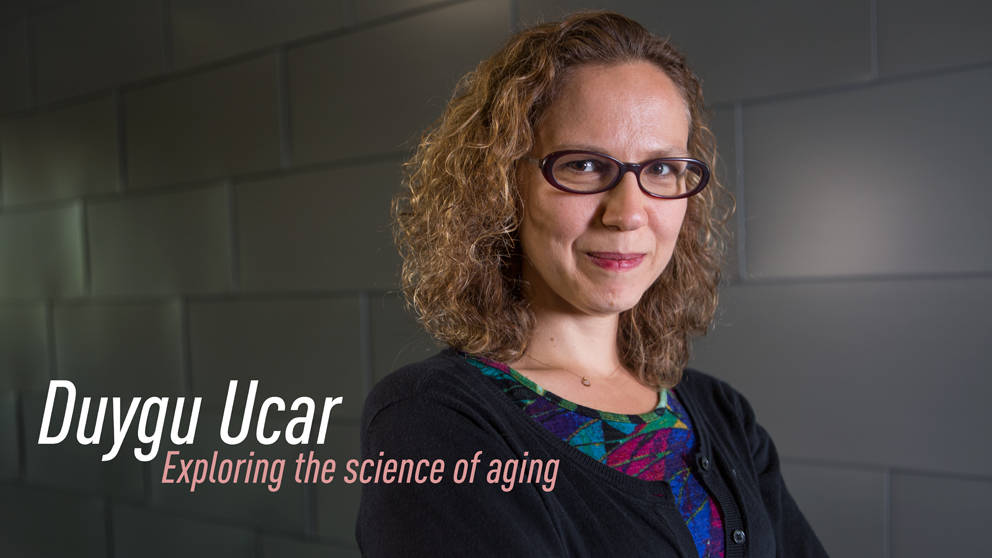 August exploring the science of aging