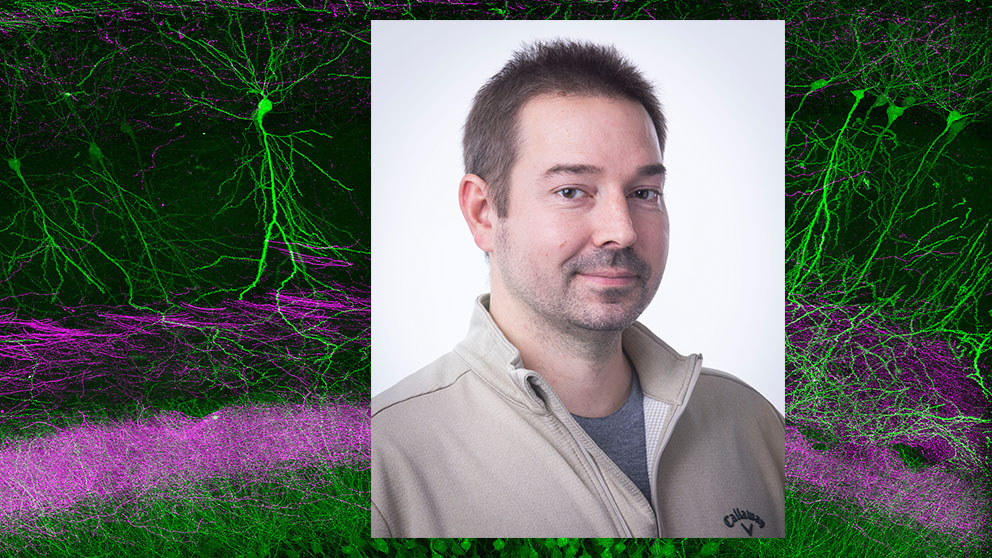 Erik Bloss, Assistant Professor at The Jackson Laboratory, neuroscience, genetics, neural computation