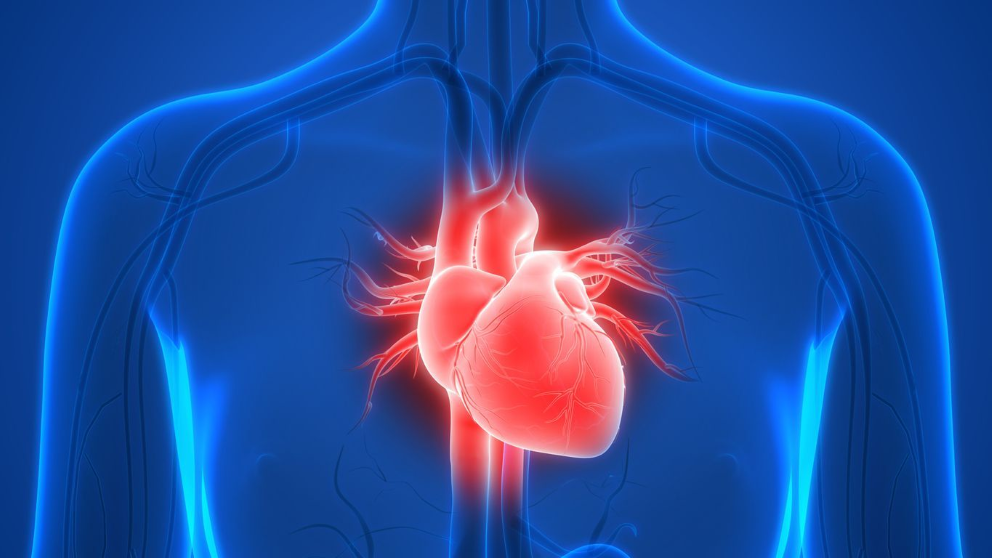 March crispr provides potential cardiomyopathy treatment