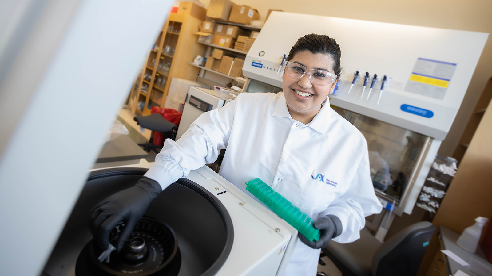 Jayna Mistry working in her lab at the Jackson Laboratory. Photo credit: Tiffany Laufer