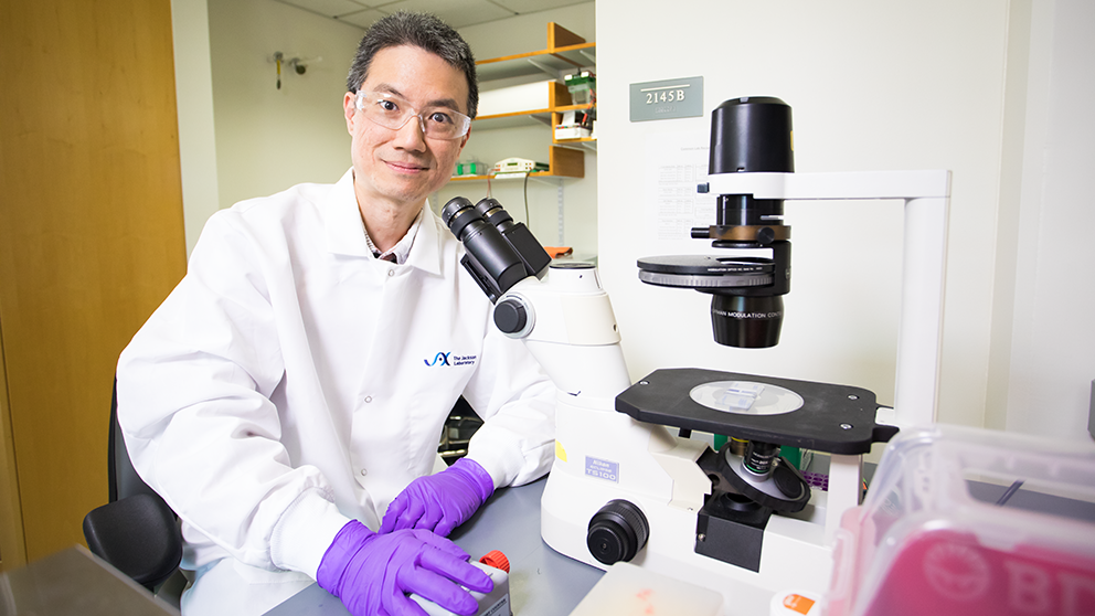 The Jackson Laboratory's Lucas Chang in his lab.
