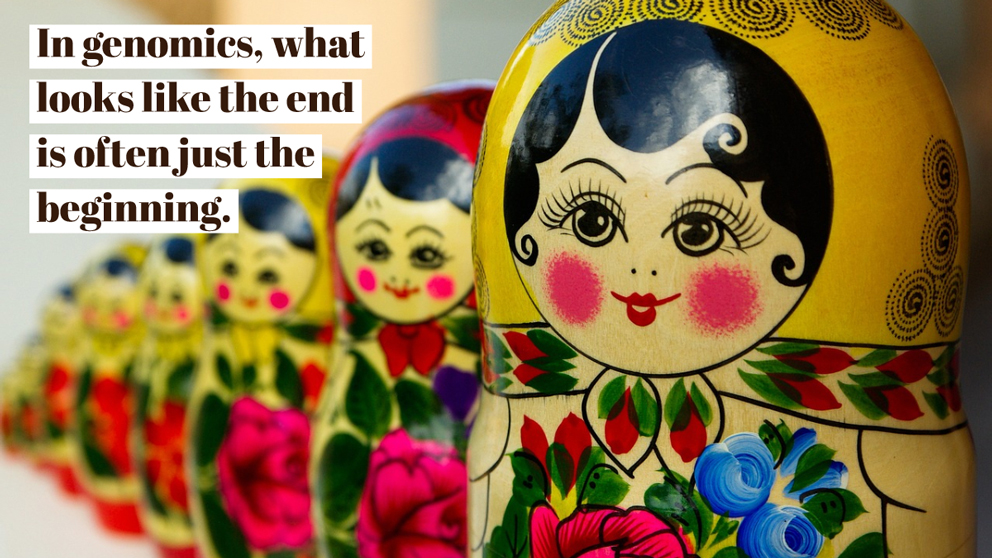 In genomics, what looks like the end is often just the beginning, Nesting dolls, matryoshka dolls