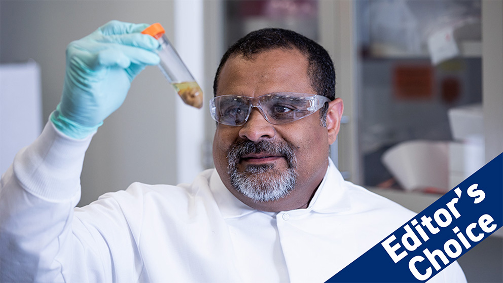 The Jackson Laboratory's Muneer Hashaam, in 2020, in a BS-L2 lab, in Bar Harbor, Maine. Photo credit: Thomas Fouchereaux
