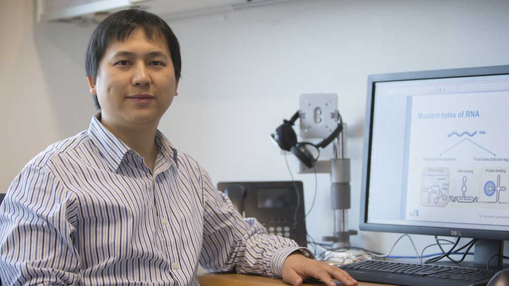 JAX Assistant Professor Zhengqing Ouyang, Ph.D.