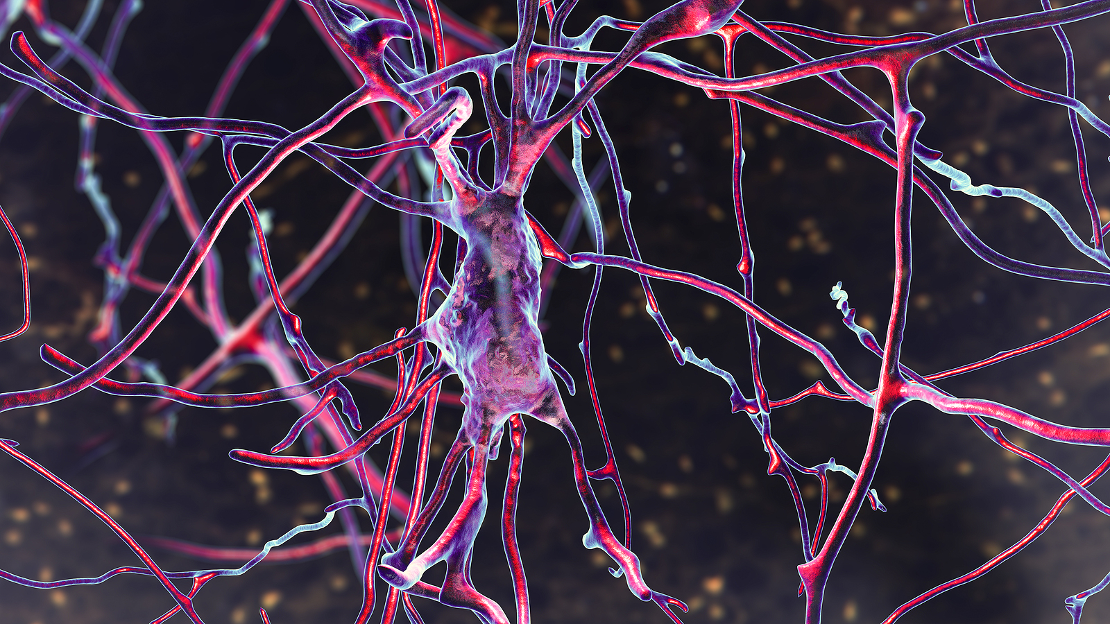 Images of brain neurons in shades of purple and red