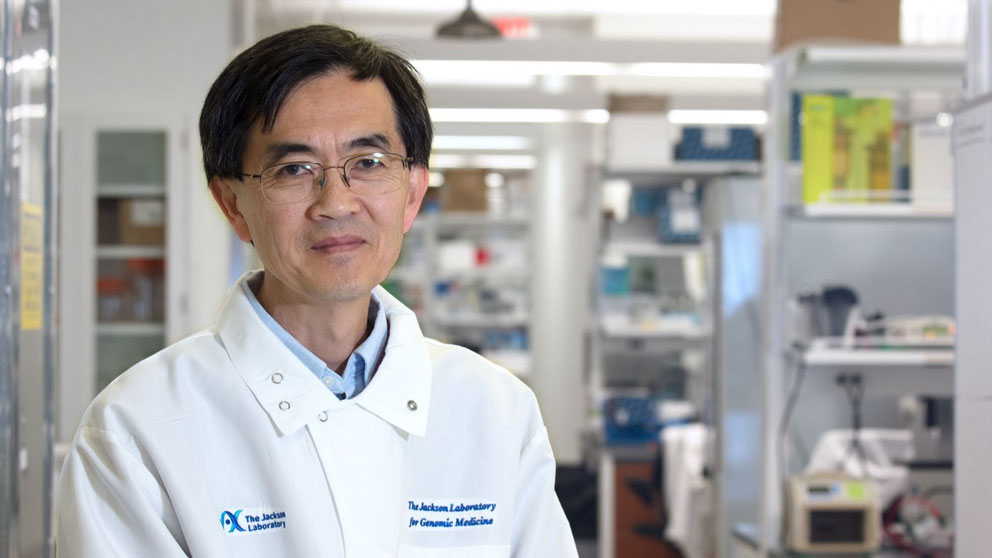 Pioneering scientist Se-Jin Lee, a leader in the study of muscle development, moves his groundbreaking research program to JAX
