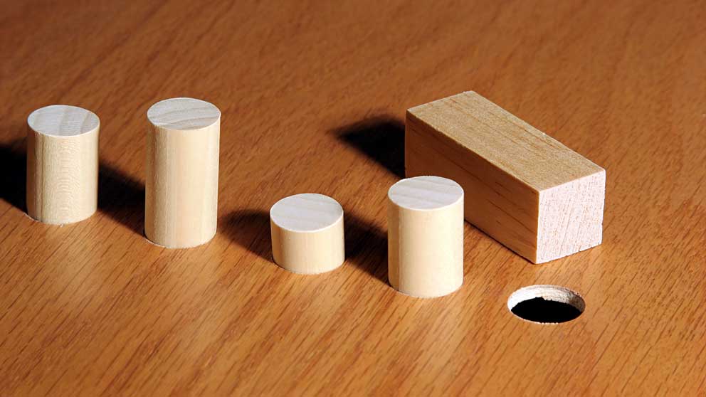 Square peg, round hole: Which career is the best fit for you?