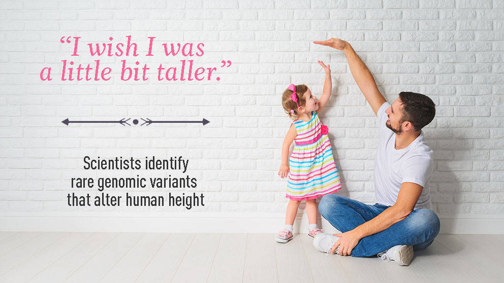Scientists identify rare genomic variants that alter human height