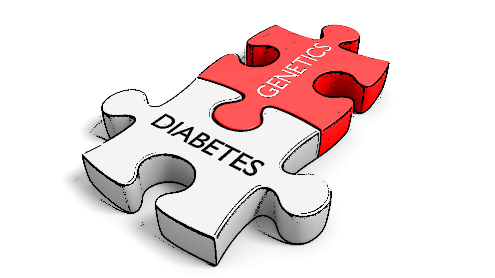 type 2 diabetes research at the jackson laboratory