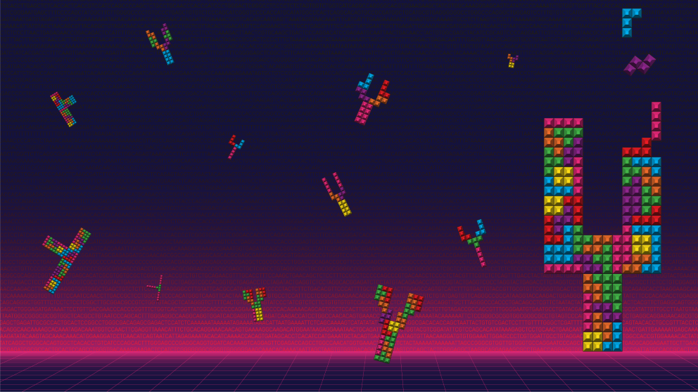 Falling blocks symbolizing the assembly of the fully sequenced Y chromosomes.