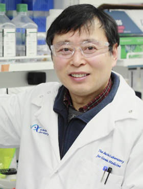 Changhui Guan, Ph.D