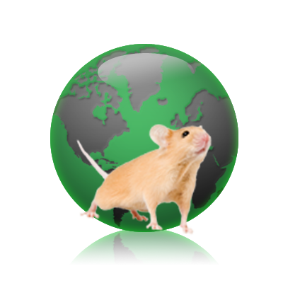 国际小鼠菌株资源（IMSR）