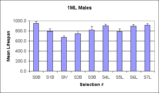 Life spans of 1ML males