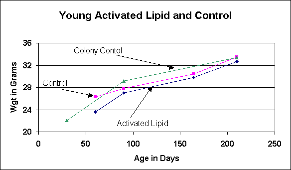 Figure VI.7. Young mice (30 to 210 days): weight comparisons among lipid fed, control, and colony control mice.