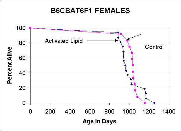 Figure VI.6. B6CBAT6F1 females: life span curves for activated lipid fed and control mice.