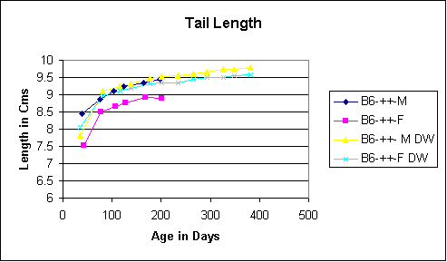 Figure VI.15. C57BL/6J males and females: tail length comparisons of treated and untreated mice