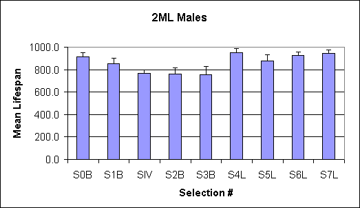 Life spans of 2ML males