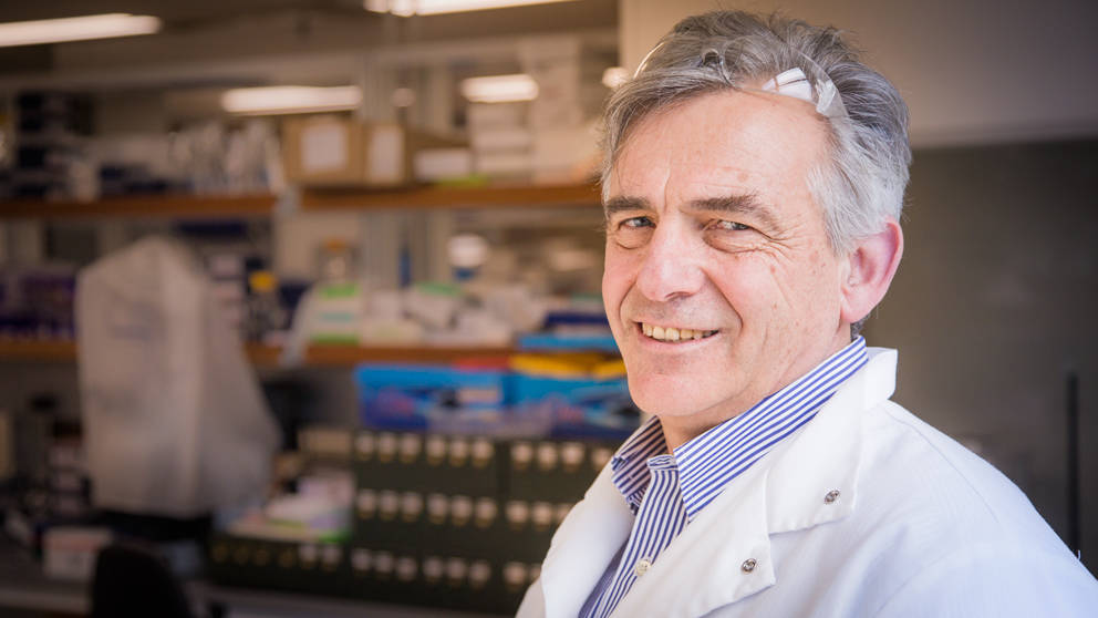 Martin Pera, Stem Cell Researcher in Regenerative Medicine at The Jackson Laboratory