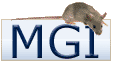 小鼠基因组数据库（MGD）