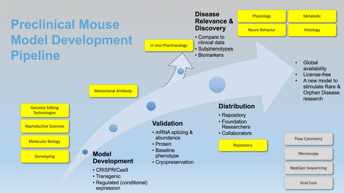 Rare disease mouse model development pipeline