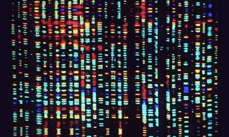 genomics image