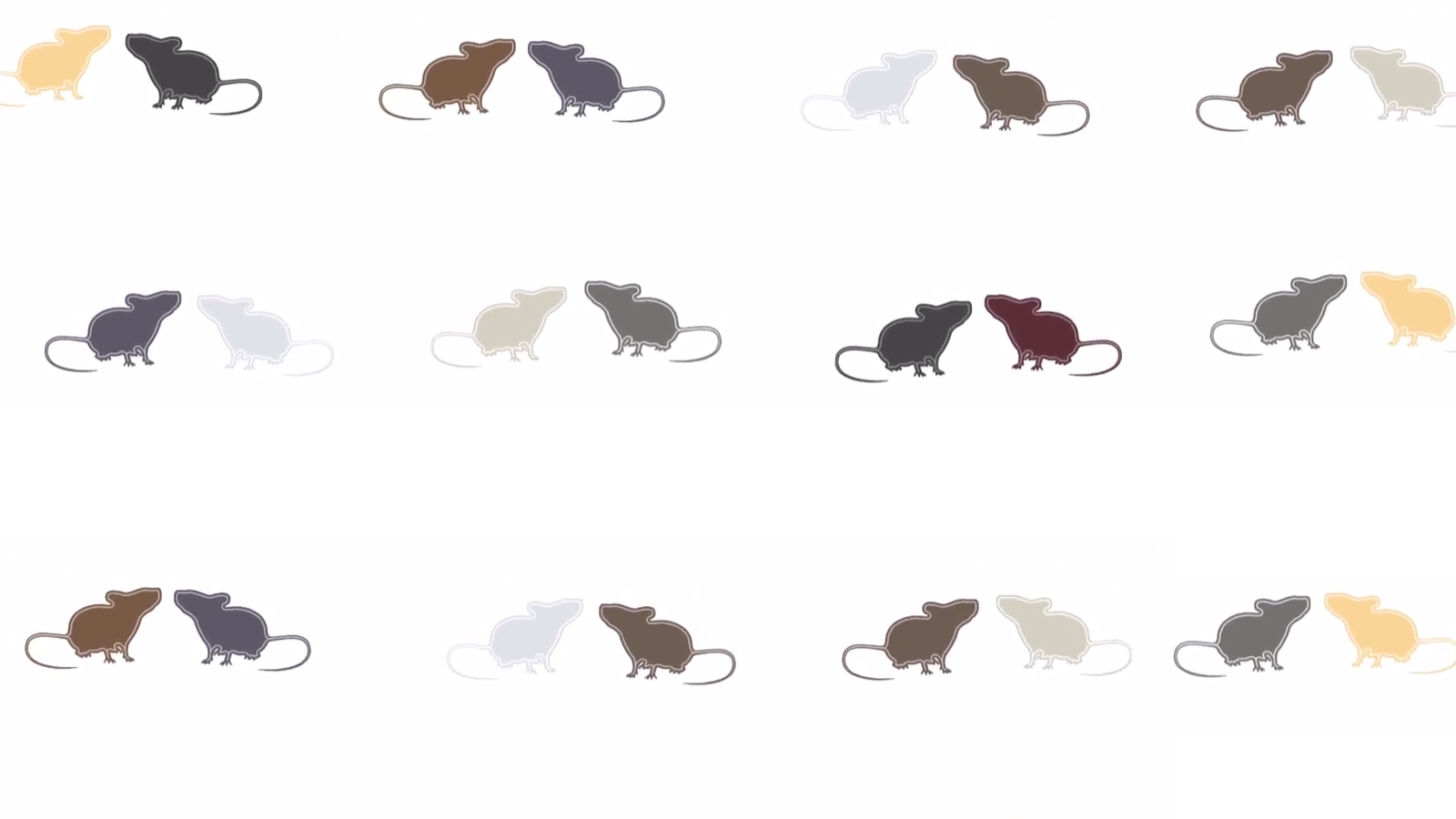 April the how and why of research with diversity mouse strains and populations