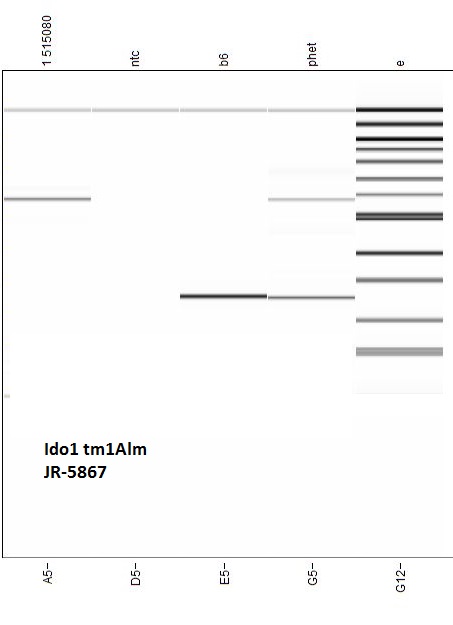 Protocol 35022 - Ido1 -Alternate 3